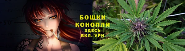 эйфоретик Лабытнанги