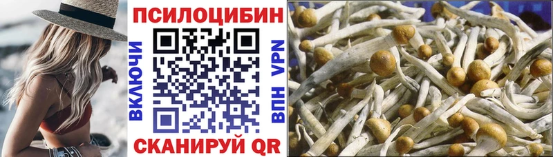Псилоцибиновые грибы Psilocybine cubensis  Купить где  Курганинск 
